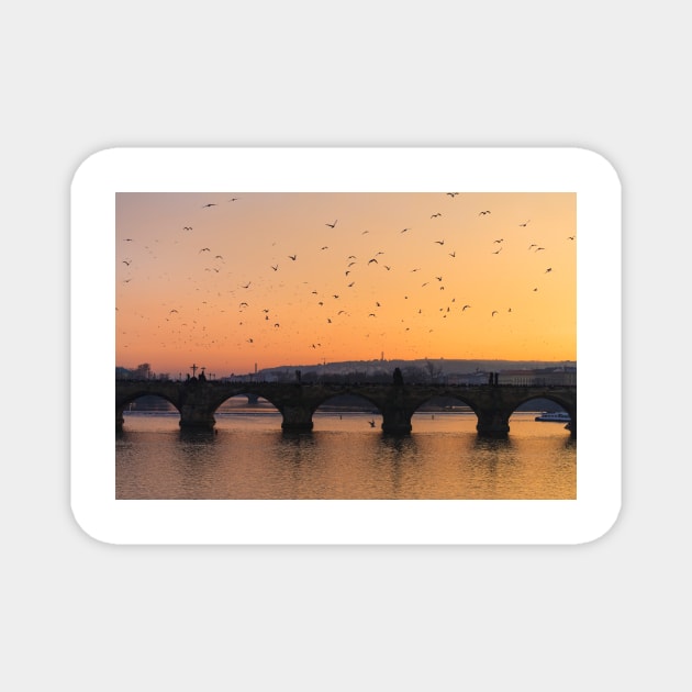 Charles Bridge Magnet by ansaharju