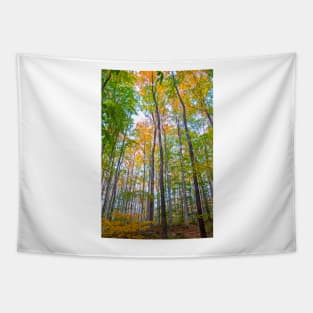 Autumn in the Tree Tops Tapestry