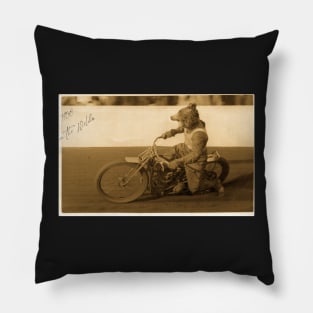 Pilot Bear antique Pillow