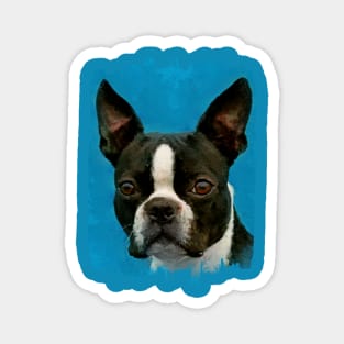 Boston Terrier dog Magnet