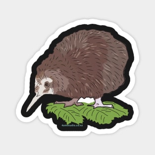 Hand Drawn New Zealand Kiwi Bird Magnet