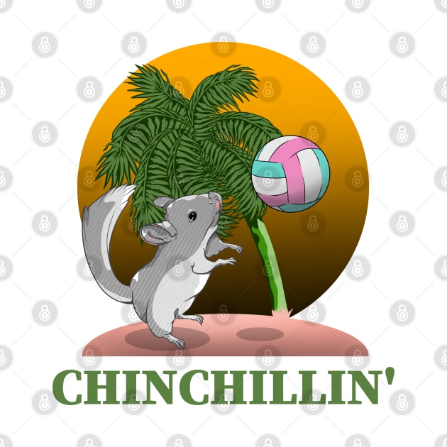 Chinchilla Chinchillin' by mailboxdisco