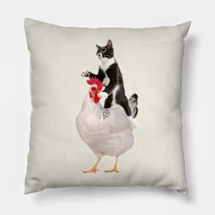 Tuxedo Cat on a Chicken Pillow