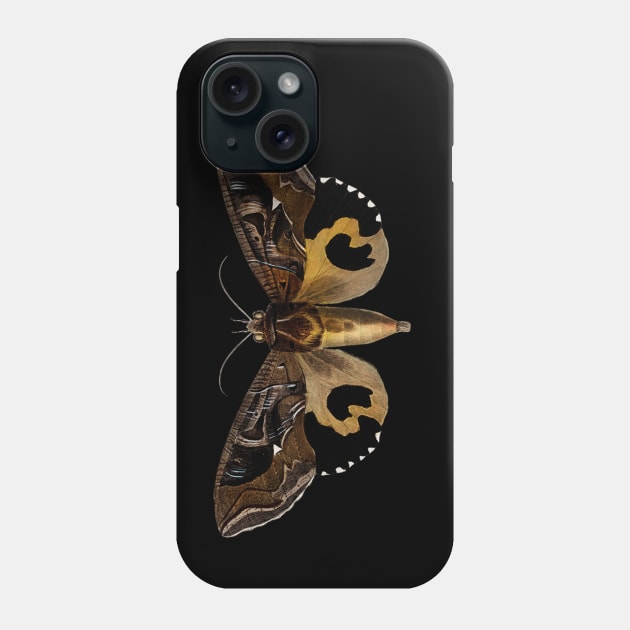 Aganais vitripennis Butterfly Birthday Gift Phone Case by gdimido