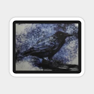 Blackbird Magnet