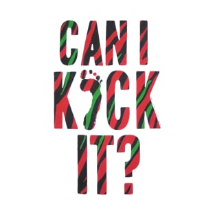 Can i kick T-Shirt