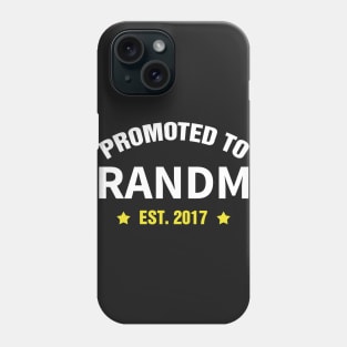 Promoted To GRANDMA Est 2017 gift ideas for family Phone Case