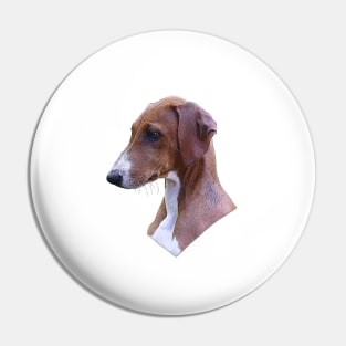 Azawakh Sighthound Adorable Puppy Dog Pin