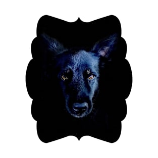 The Black Dog T-Shirt