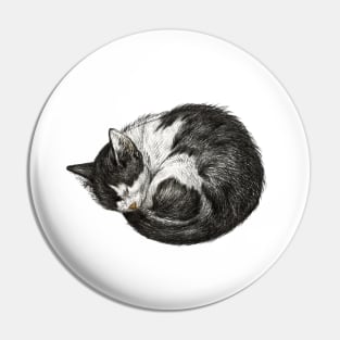 Sleeping Cat Drawing Pin