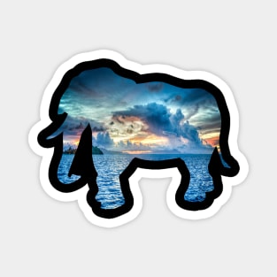 ELEPHANT Magnet