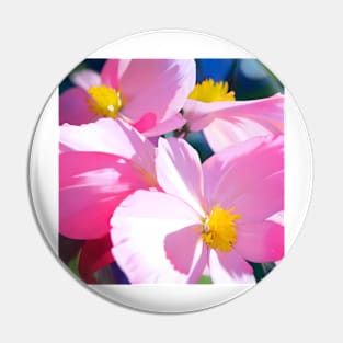 Pink Begonia Blossoms Pin