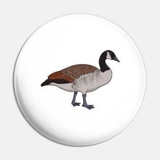 Drawing of a Canada Goose Pin