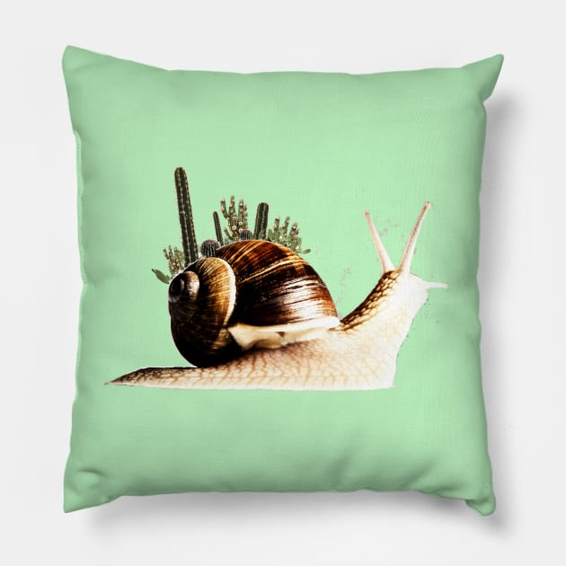 cactus on a snail Pillow by Lamink