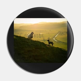 Scottish Sheep and Lamb Pin
