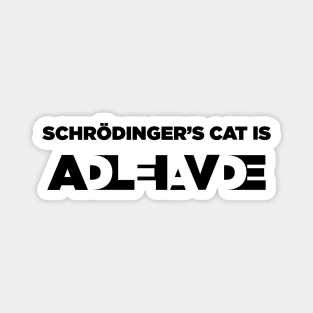 Schrodinger experiment Magnet