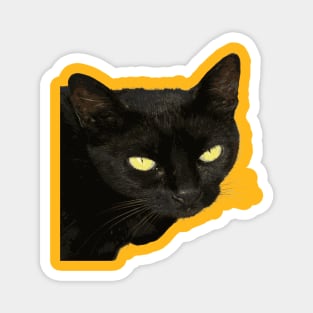 Black Cat With Beautiful Yellow Eyes Vector Art Cut Out Magnet