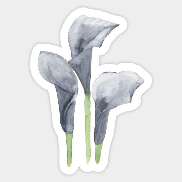 Black Calla Lily Floral Watercolor Painting Sticker Teepublic