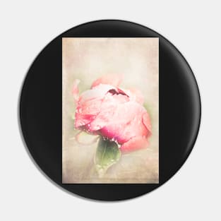 Textured photo of a pink peony Pin