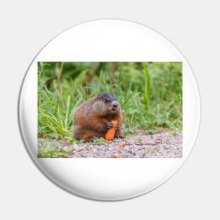 The Beaver and the carrot Pin