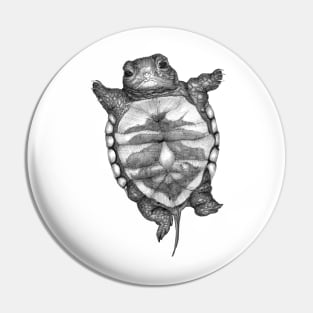 Little Turtle Pin