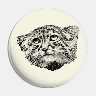 Manul-Pallas"s cat Pin