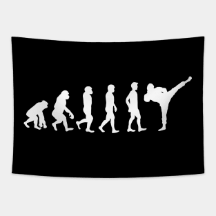 Ninja Wu Shu Evolution Ninjutsu Tapestry