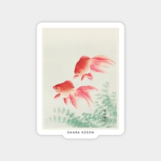 Ohara Koson Goldfish Woodblock Print Magnet