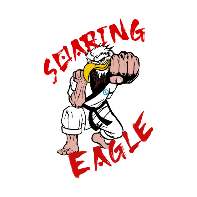 Soaring Eagle Punch by Soaring Eagle Karate