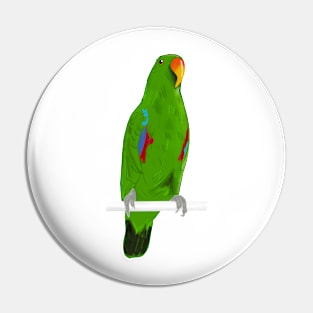 Ekkie Cute Green Eclectus Parrot for parrot lovers Pin