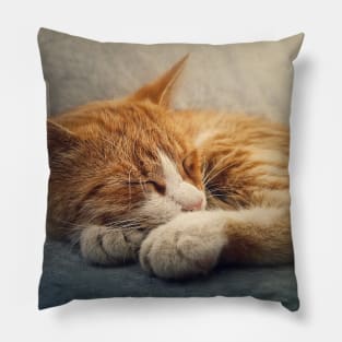 ginger cat resting on a sofa Pillow