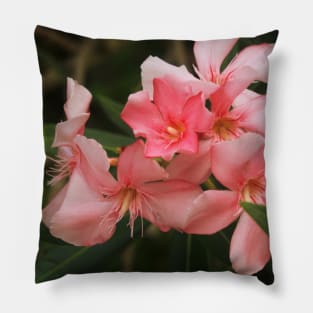 Flowers of the Dominican Republic Pink Pillow