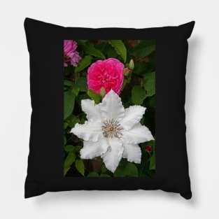 Rose & Clematis Pillow