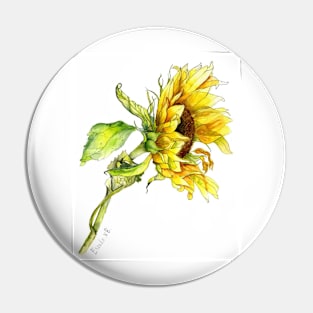 Sunflower watercolour painting Pin