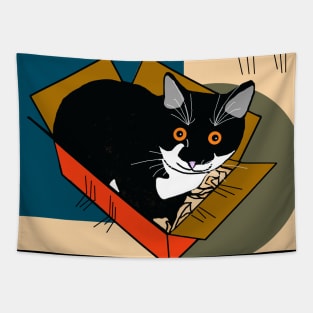 Cute Tuxedo Cat Kitty in a box  Copyright TeAnne Tapestry