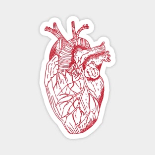 Just an anatomical heart Magnet