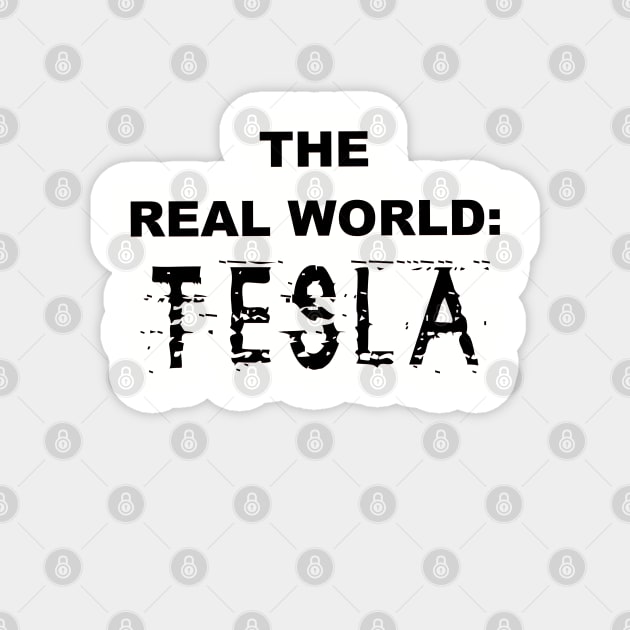 The Real World: Tesla Magnet by thomtran