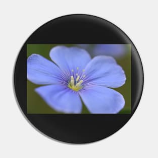 Wildflower 04 Pin