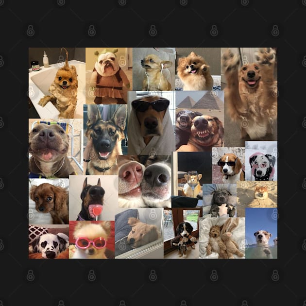 dogs aesthetic collage by morgananjos