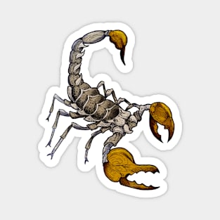 Zodiac sign Yellow scorpion Magnet