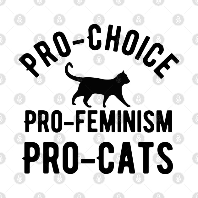 Pro choice pro feminism pro cats by Alennomacomicart