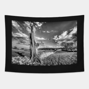 Yorkshire Dales, Dead Tree Tapestry