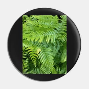 Lush green fern leaves, tropical forest print in vivid colors Pin