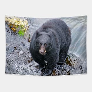 Black Bear in the River Tapestry