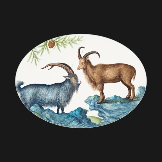 Wild Goat and a Barbary Sheep (1575–1580) by WAITE-SMITH VINTAGE ART