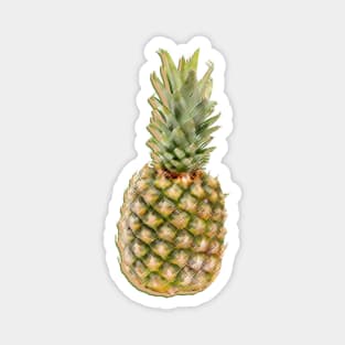 Pineapple Magnet