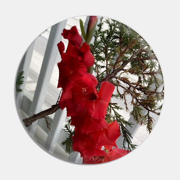 Gladiolus Pin by Amanda1775