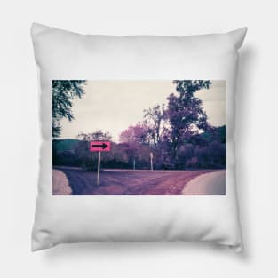 Rural Wisconsin Road LomoChrome 35mm Photograph Pillow