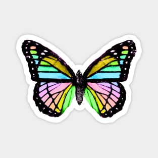 Rainbow butterfly Magnet