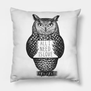 Owl with love Pillow